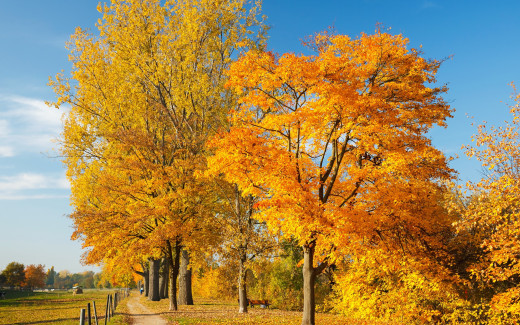 880267 (a): :2560x1600